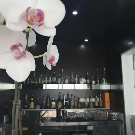 Ξενοδοχείο Quihotel 4*