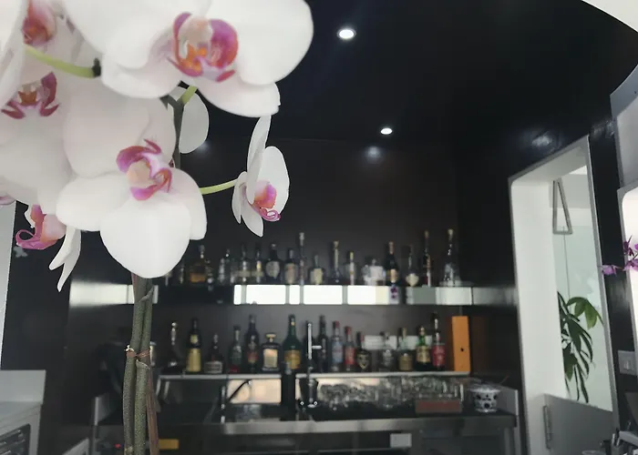 Hotel Quihotel 4*